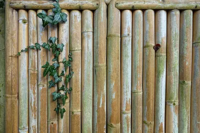 Бамбуковый забор в рулоне 1,5х3 м EV-167154 - ON24.ee Мебель и интерьер
