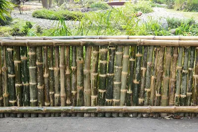 Декоративный забор из бамбука (73 фото) » НА ДАЧЕ ФОТО