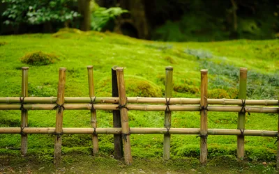 Бамбуковый забор в саду с бамбуковым забором на заднем плане. | Премиум Фото