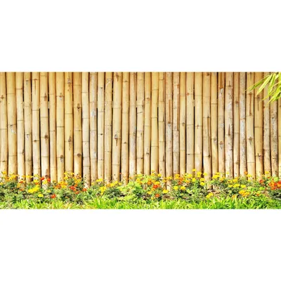 Бамбуковый забор IN GARDEN D14/16 мм, 1x3 м цена | pigu.lt