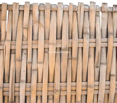 Бамбуковый Забор Фон Винтажного Цвета — стоковые фотографии и другие  картинки Азия - Азия, Бамбук, Без людей - iStock