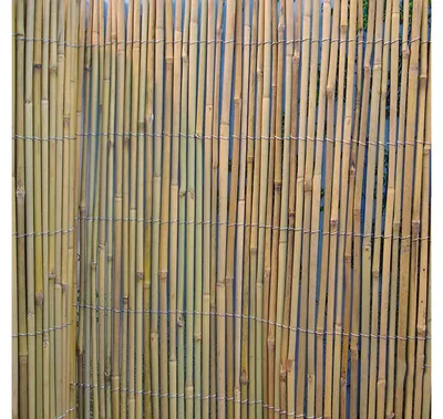 Бамбук в японских садах