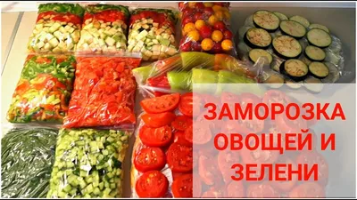 Что лучше: заморозка или сушка? Как сохранить урожай на зиму