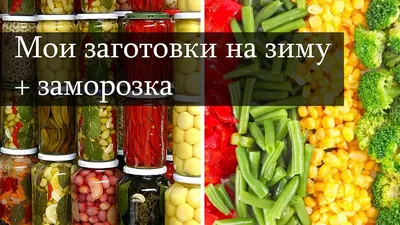 Дидактическая игра «Заготовки на зиму» - Скачать шаблон | Раннее развитие