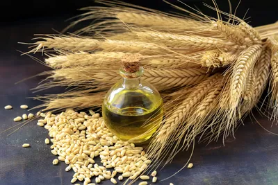Купить Порошок ростков пшеницы, витграсс , 150 г в интернет-магазине Крама  здароўя в Гомеле