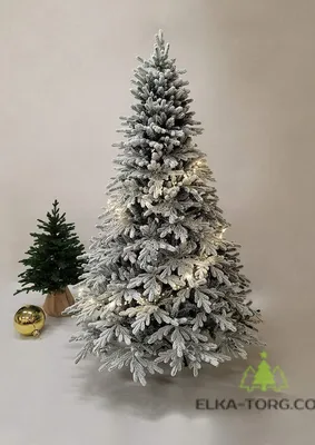 Ель Аляска заснеженная купить, цена