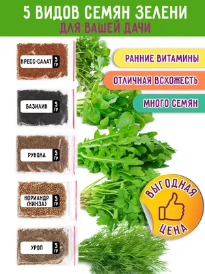 Хотите получить ранний и вкусный салат на грядке? Займитесь посевом салата  под зиму этой осенью! | Огород Мечты | Дзен