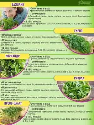Домашняя грядка. Как вырастить овощи и зелень на подоконнике