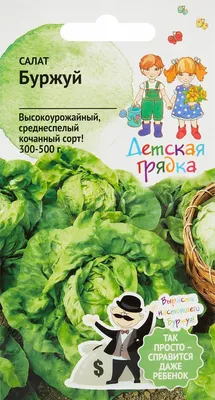Отзыв о Семена Поиск \"Шпинат Жирнолистный\" | Быстрая и полезная зелень на  грядке