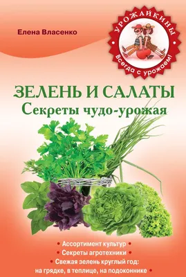 ИДЕАЛЬНАЯ ГРЯДКА ДЛЯ ЗЕЛЕНИ/укроп,петрушка,руккола,базилик,кинза,майоран,крест  салат,тархун,салат. - YouTube