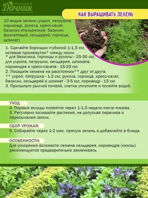 Посадка зелени в огороде: пошаговая инструкция