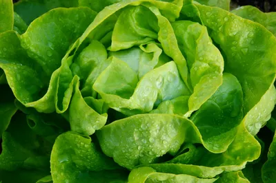 5 продуктов для повышения энергии | ВКонтакте