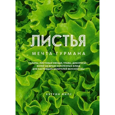 Суперполезные листовые овощи | Водовоз.RU.Еда | Дзен
