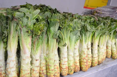 Золотой продукт\": назван один из самых полезных салатов в мире |  01.04.2022, ИноСМИ