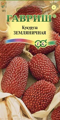 Семена Кукуруза декоративная Земляничная - купить по выгодной цене |  Урожайка