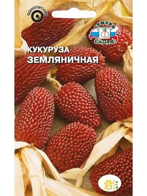 Земляничная кукуруза фото фото
