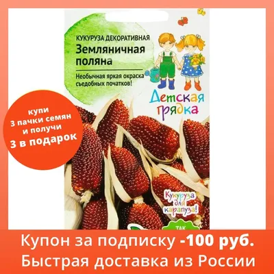 Дача. Кукуруза земляничная. Небольшая, но вкусная | Instagram