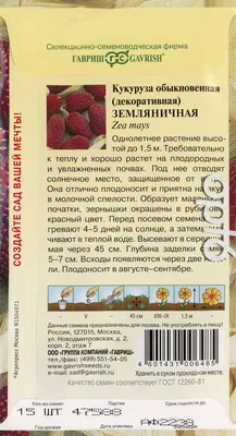 Кукуруза Земляничная поляна. Декоративная, красная! Съедобная и для  декорации. Как вырастить. - YouTube