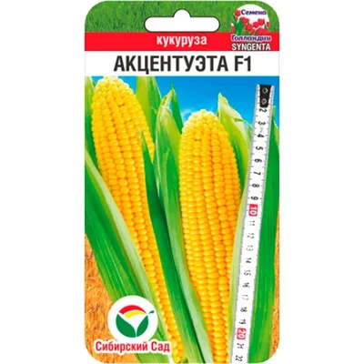 Цветная кукуруза: 7+ самых ярких и вкусных сортов | На грядке (Огород.ru)