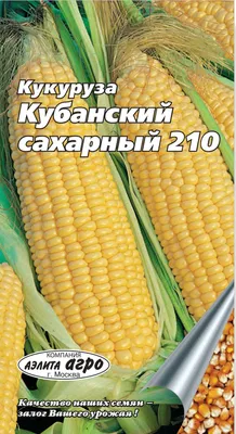 Семена кукурузы декоративной «Земляничная» / Zea mays, ТМ «ГАВРИШ», - 15  семян купить недорого в интернет-магазине семян OGOROD.ua