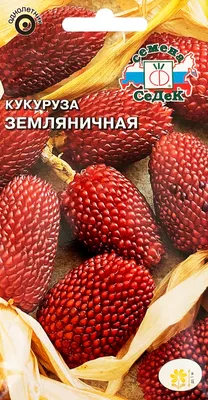 Кукуруза декоративная Земляничная семена купить в Самаре по цене 32 руб.