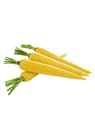 Морковь желтая 1 кг (5кг) купить | Fruit Boutique