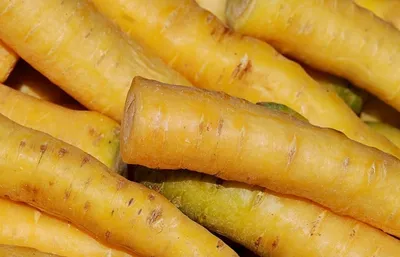 Морковь желтая (для плова), Узбекистан купить с доставкой в О!Подмосковный  Фермер