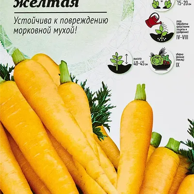 Что делать, если выросла желтая морковь? Инструкция для огородника | Есть  время под солнцем | Дзен
