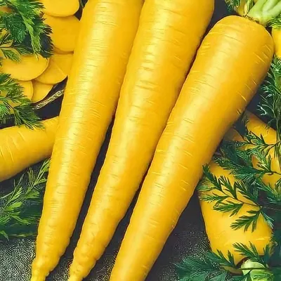 Купить морковь жёлтая, для плова, фермерская, 500 г, цены на Мегамаркет |  Артикул: 100039676366