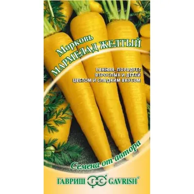 Изолирована жёлтая морковь из органического узбекского пряника Стоковое  Изображение - изображение насчитывающей еда, бело: 159346371