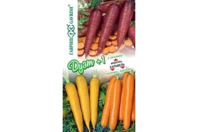 Морковь Мармелад желтый 150 шт. авторские семена: цены, описания, отзывы в  Десногорске