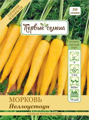 Морковь желтая с ботвой 0,5 кг, купить с доставкой в магазине Деревня Живёт  в Москве и области.
