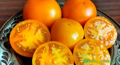 Желтые томаты - сорта и гибриды - Agro-Market24