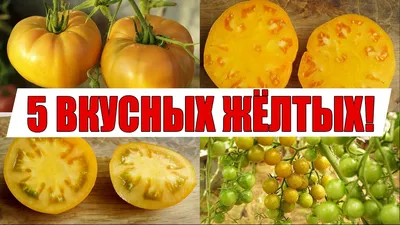 Томат Желтые пальчики