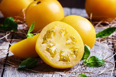 Желтые томаты - урожайные сорта и гибриды | Особенности выращивания Желтых  помидор в открытом грунте и в теплице