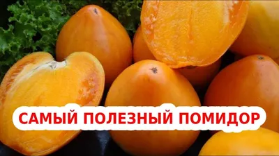 Красные и желтые помидоры откладывают на белый фон. Вид сверху. Помидоры  черри на деревянной изоляции шара. Помидоры изолированные Стоковое Фото -  изображение насчитывающей завод, цвет: 182335680