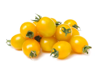 Топ-17 лучших желтых сортов помидоров: фото, рейтинг, цена семян,  преимущества