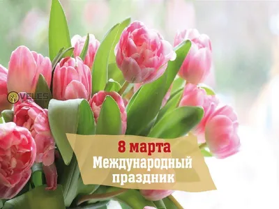 Международный женский день 8 Марта. История праздника. — Центральный  государственный архив Московской области