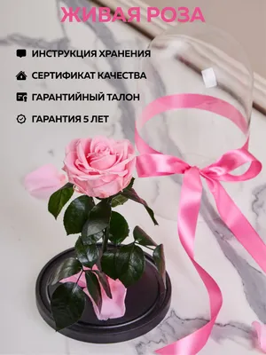 Онлайн-интенсив «PRO 8 марта»