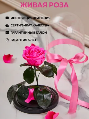 Стенгазета к 8 Марта «Живая телеграмма для любимой мамы!» (2 фото).  Воспитателям детских садов, школьным учителям и педагогам - Маам.ру