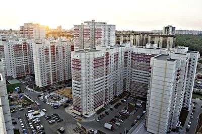 Кому в Воронеже жить хорошо: Ботанический сад или парковочный ад