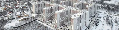 🐦 В мире пернатых Фото из ЖК «Ботанический сад» | Мой и твой Воронеж |  ВКонтакте