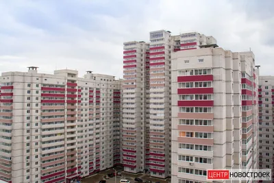 ЖК Ботанический сад в Воронеже - купить квартиру в жилом комплексе: отзывы,  цены и новости