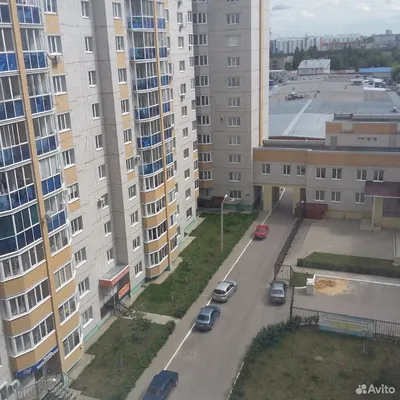 Пропала собака в Воронеже, жилой комплекс Ботанический сад | Pet911.ru