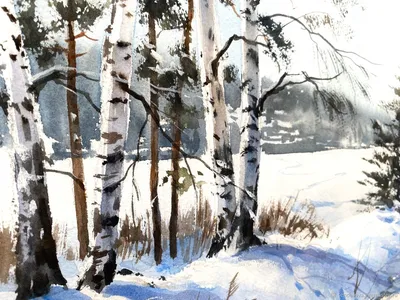 Фотографии Aspens in the snow Original HTC Sense зимние береза