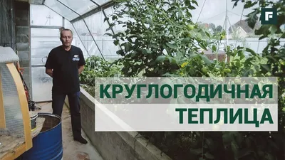 Как сделать теплицу своими руками из профильной трубы - Город Теплиц