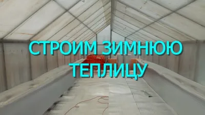 Как сделать теплицу из дерева своими руками, обзор вариантов деревянных  теплиц - Город Теплиц