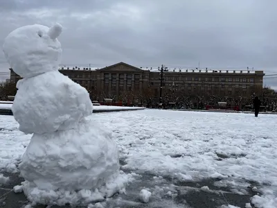 Теплый зимний сад, заказать зимние сады под ключ