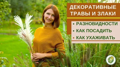 Иллюстрация 15 из 15 для Декоративные травы в дизайне сада - Т.Т Желтовская  | Лабиринт - книги.