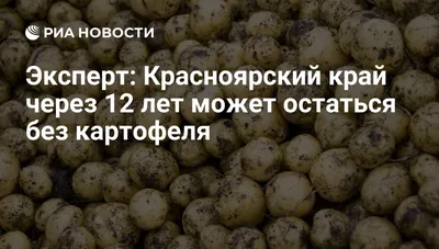 Казахстан запретил ввозить картофель из Кыргызстана — заражен нематодой -  20.02.2019, Sputnik Кыргызстан
